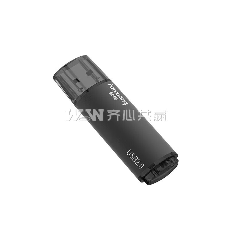 梵想 F202 4GB USB2.0 黑色 优盘