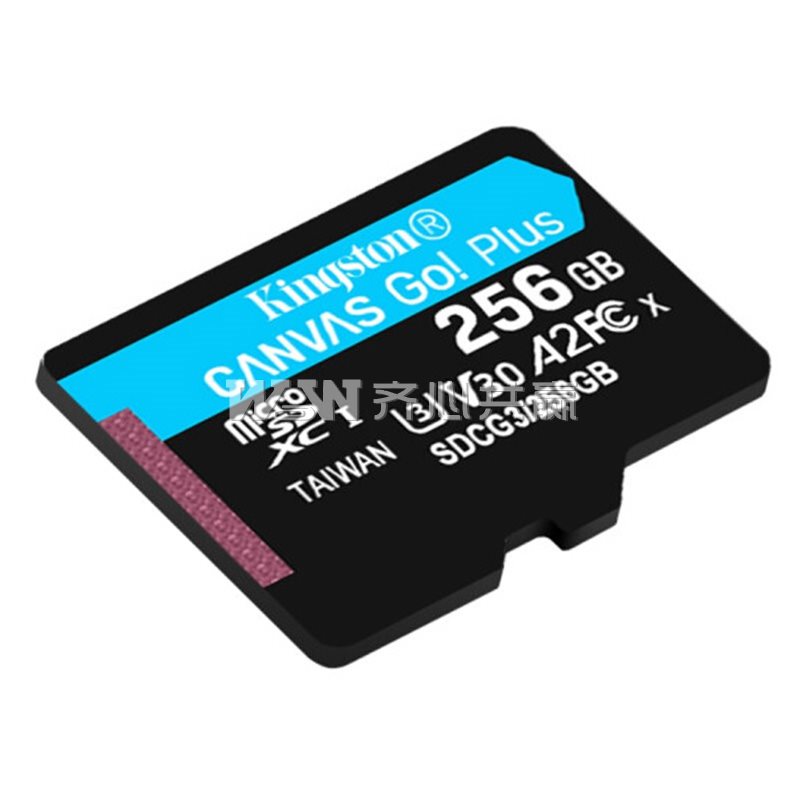 金士顿Kingston SDCG3 256GB 170MB/s V30 U3 A2 MicroSD 高速存储卡