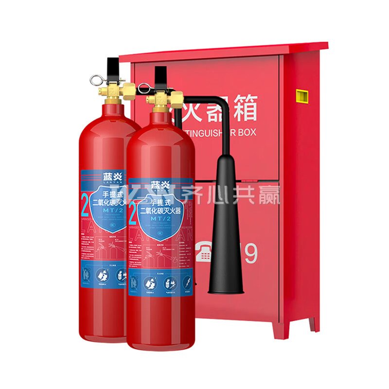 蓝炎 MT/2*2-MHQX4KG-ZH 2kg*2瓶/套 手提式二氧化碳灭火器+箱 组合