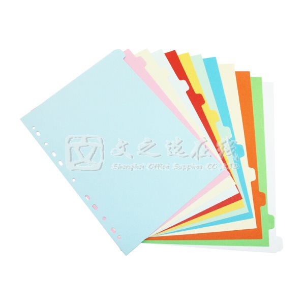 卓联 ZL-5612 彩色12页 50套/盒 纸质分类索引