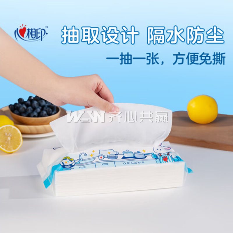 心相印 20*23cm 50抽/包 4包/提 干湿两用懒人抹布