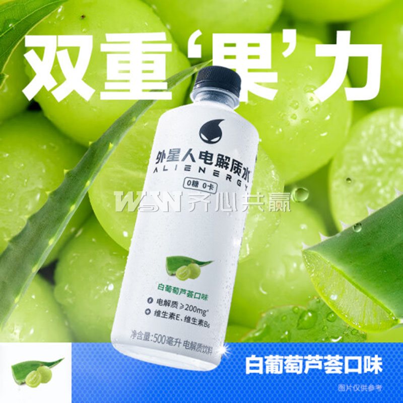 元气森林 外星人 500mL*15瓶/箱 白葡萄芦荟口味 电解质水（整箱）